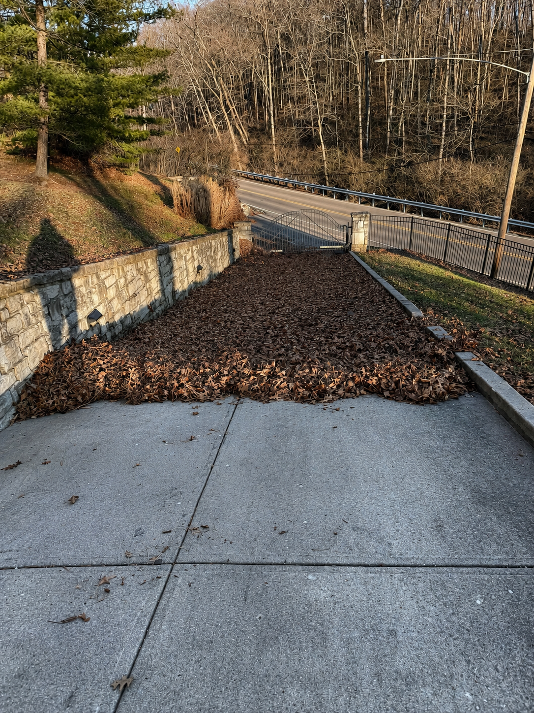 Leaf cleanup