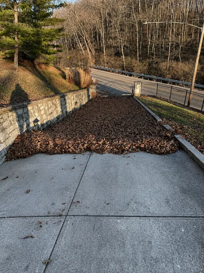 Leaves gathered at the edge of a residential driveway during cleanup